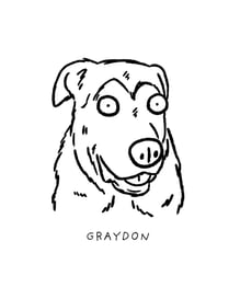 graydon